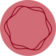 Massage-visage-emiliemarie