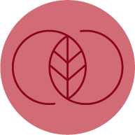 Massage - visage6 - emiliemarie